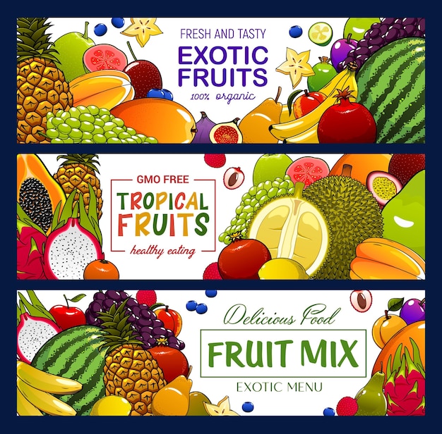 Vecteur bannières de fruits tropicaux et de baies