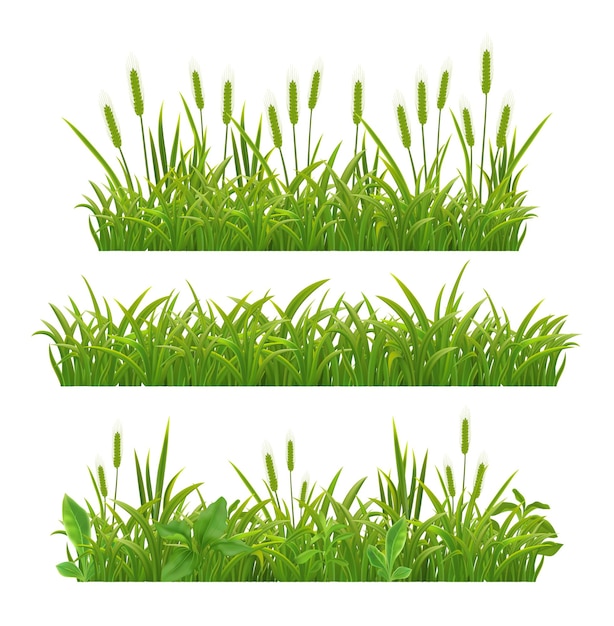 Bannières réalistes de feuilles d'herbe