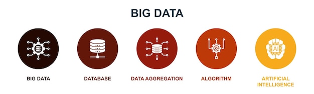 Base de données volumineuses Algorithme d'agrégation de données Icônes d'intelligence artificielle Modèle de conception infographique Concept créatif en 5 étapes