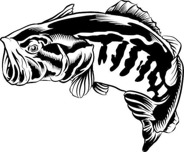 Bass Fish En Illustration Noir Et Blanc