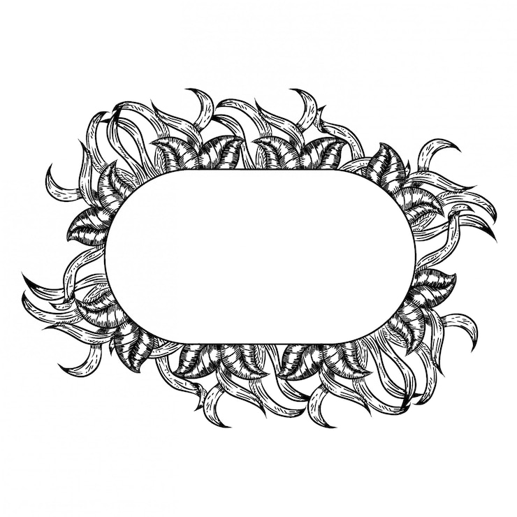 Vecteur beau bouquet de feuilles noir et blanc dessiné à la main