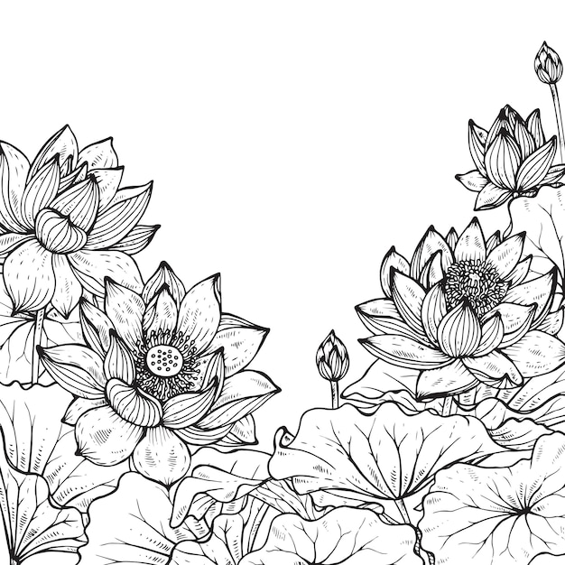 Beau Cadre Floral Monochrome Avec Lotus