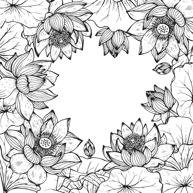 Beau Cadre Floral Monochrome Avec Lotus