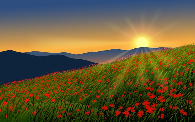 Beau Coucher De Soleil Dans Un Champ De Fleurs Avec Des Rayons De Soleil Et De Montagne