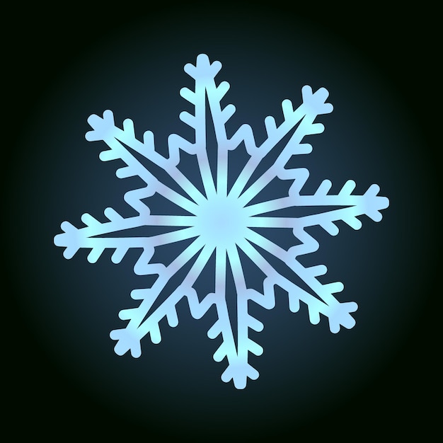 Beau Flocon De Neige Pour Le Symbole De Conception D'hiver Du Nouvel An Et Des Vacances De Noël