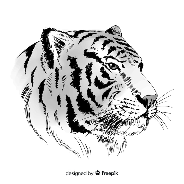 Beau fond de tigre