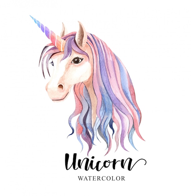 Beau Mignon. Aquarelle Tête De Licorne