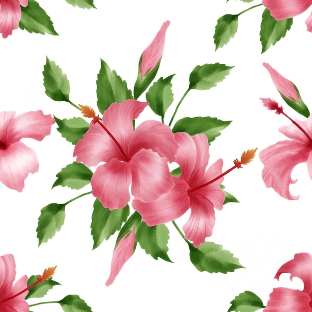 beau motif aquarelle floral fleur d&#39;hibicus