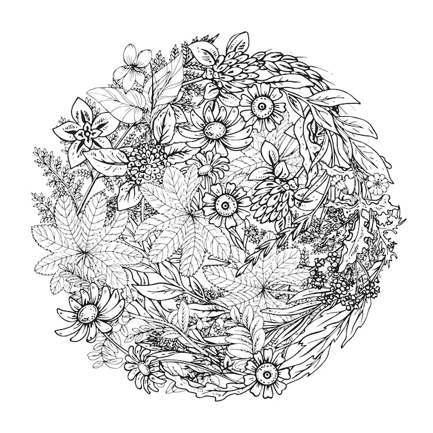 Vecteur beau motif floral monochrome dans un style doodle.