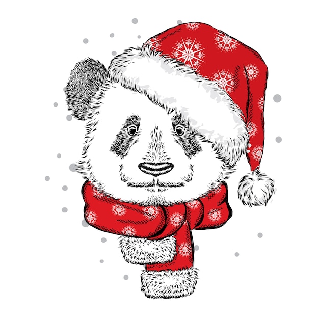 Beau Panda Dans Un Chapeau Et Une écharpe De Noël.