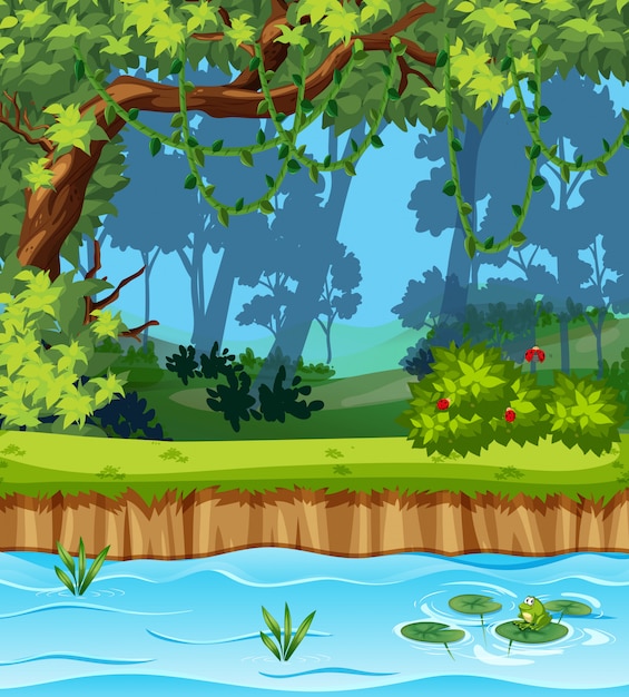 Un beau paysage de jungle