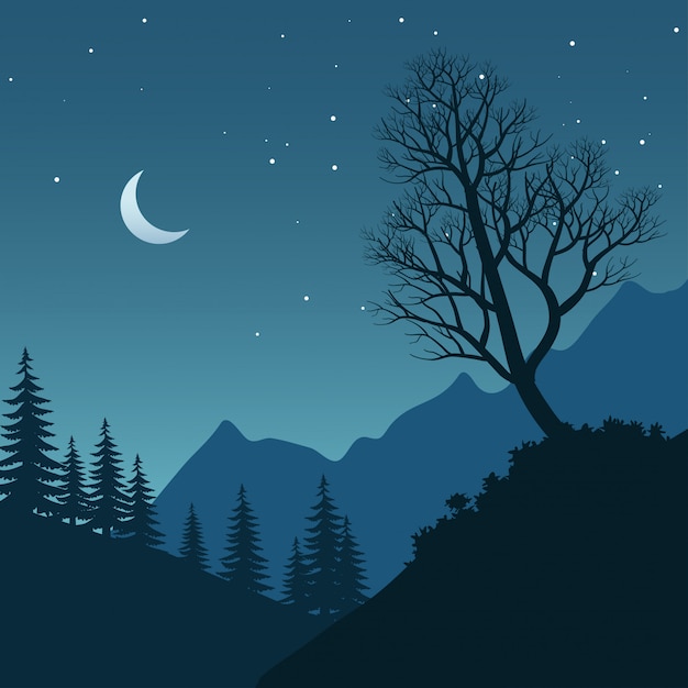 Beau Paysage Nocturne Avec Arbre Nu