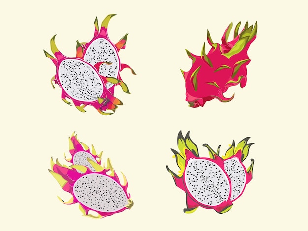 Vecteur la beauté exotique illustration d'un fruit de dragon