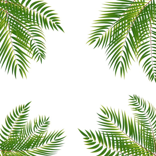 Beautifil Palm Tree Leaf Silhouette Background Illustrat