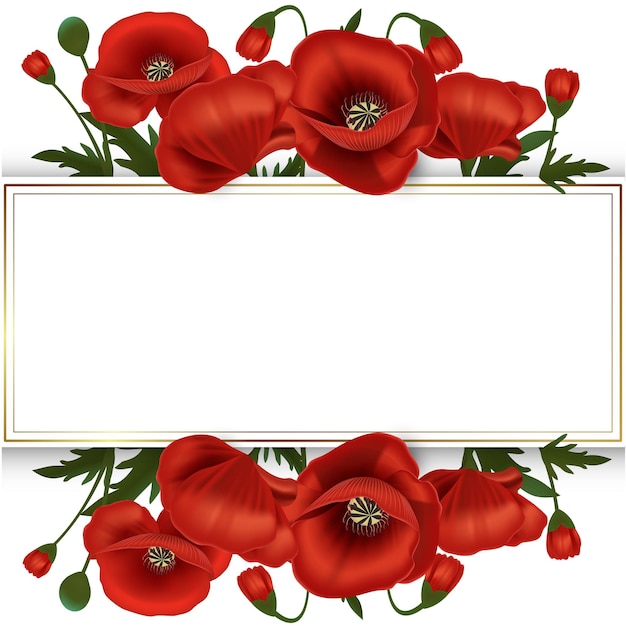 Beaux cadres en or avec des pavots rouges