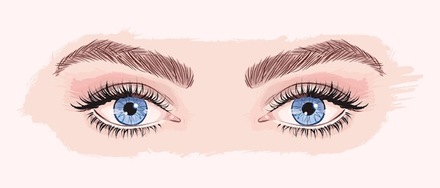 Beaux Yeux Féminins Dessinés à La Main Avec De Longs Cils Et Sourcils Noirs