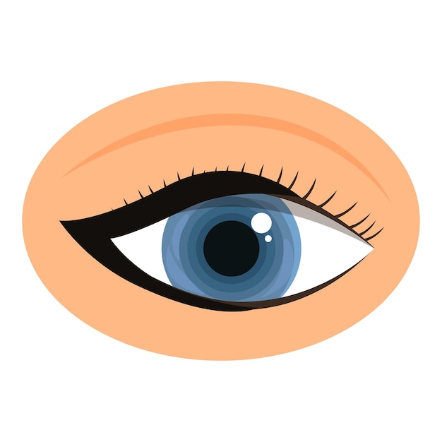 Beaux yeux féminins avec de longs cils noirs et un iris bleu regardant vers le haut illustration