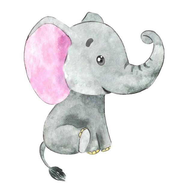 Bébé éléphant aquarelle