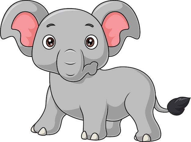 Bébé éléphant De Dessin Animé Sur Fond Blanc