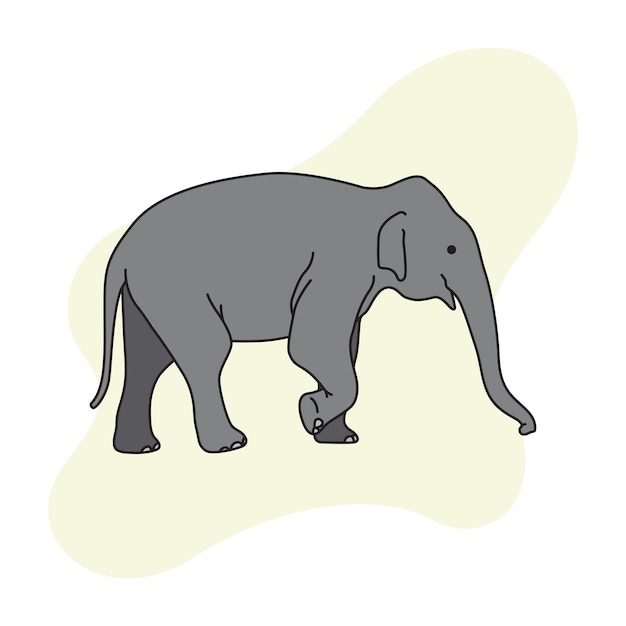 Un Bébé éléphant Marche