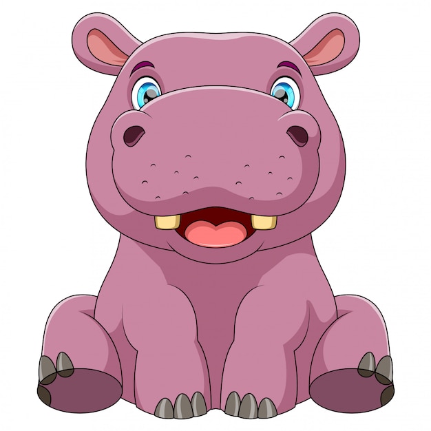 Un Bébé Hippo