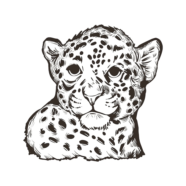 Bébé Jaguar, Portrait De Croquis Isolé Animal Exotique. Illustration Dessinée à La Main.