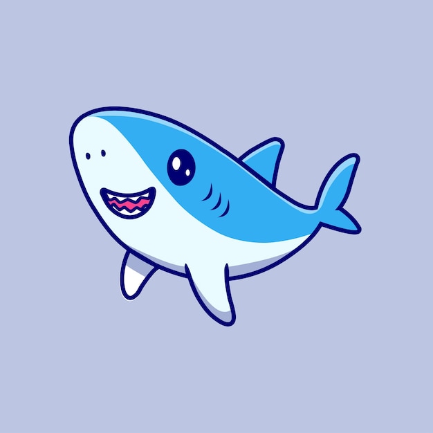 bébé requin