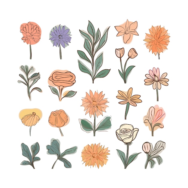 Vecteur bel ensemble d'illustrations de fleurs sur fond blanc