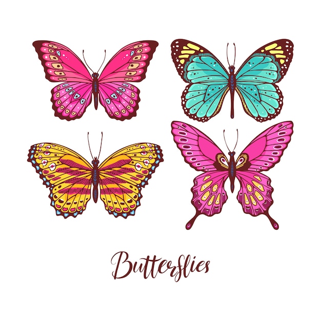 Bel Ensemble De Papillons Colorés. Illustration Dessinée à La Main