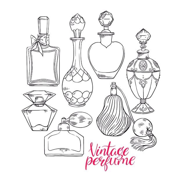 Vecteur bel ensemble avec une variété de bouteilles de parfum pour femmes de croquis. illustration dessinée à la main