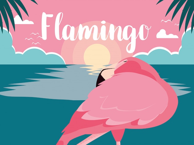 Bel Oiseau Flamant Rose Se Tenir Dans Le Paysage