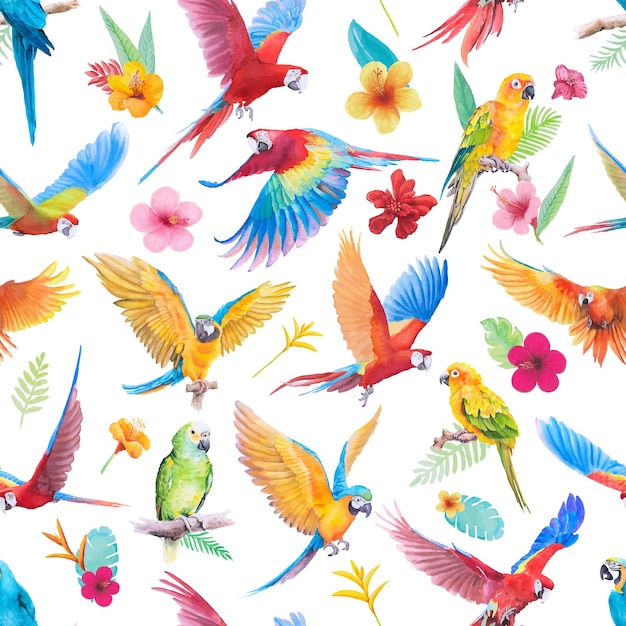 Vecteur bel oiseau perroquet ara et paradis fleur de feuille peinte à la main modèle sans couture aquarelle