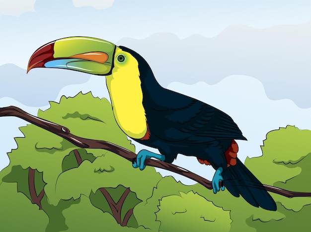 Vecteur bel oiseau toucan sur arbre