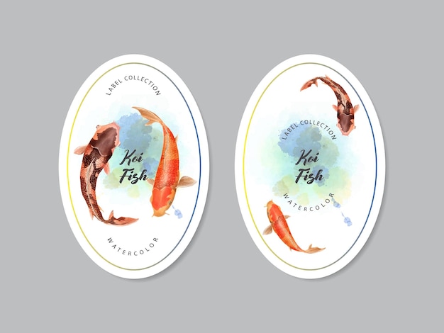 Vecteur belle collection d'étiquettes d'aquarelle de poissons koi