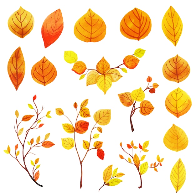 Belle collection de feuilles d&#39;automne aquarelle