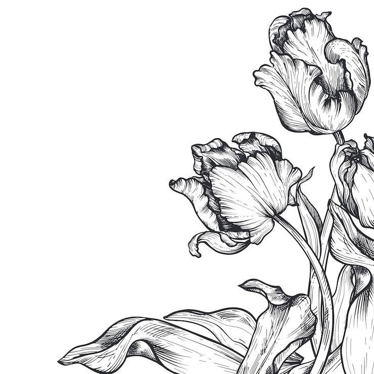 Vecteur belle composition de coin vectoriel dessiné à la main avec des fleurs de tulipes noires et blanches