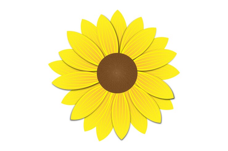 Vecteur belle conception de vecteur de tournesol