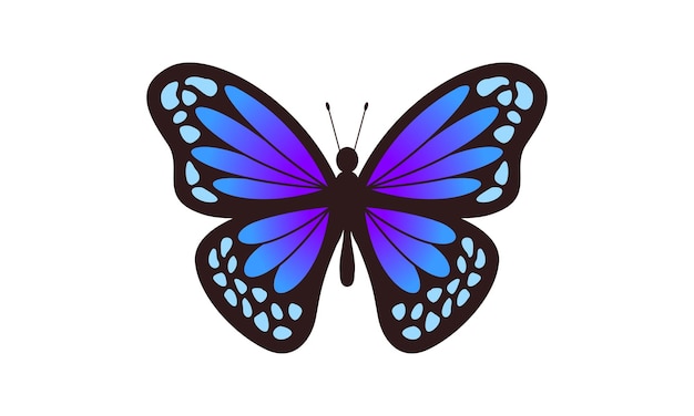 Belle Couleur Papillon Logo Vector Art Illustration