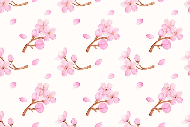 Belle Fleur De Cerisier Aquarelle Ou Sakura Comme Motif Sans Couture.