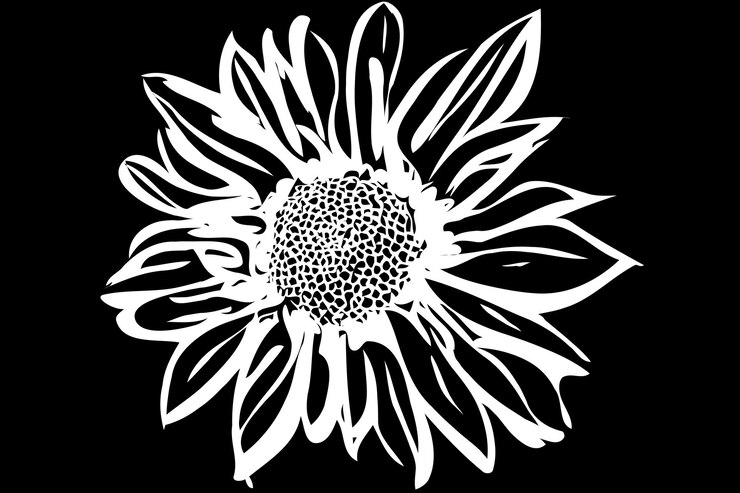 Belle fleur de chrysanthème d'automne
