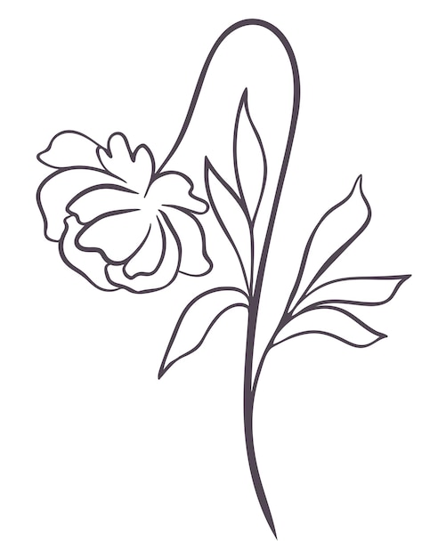 Belle Fleur Avec Illustration Vectorielle De Feuilles Ligne