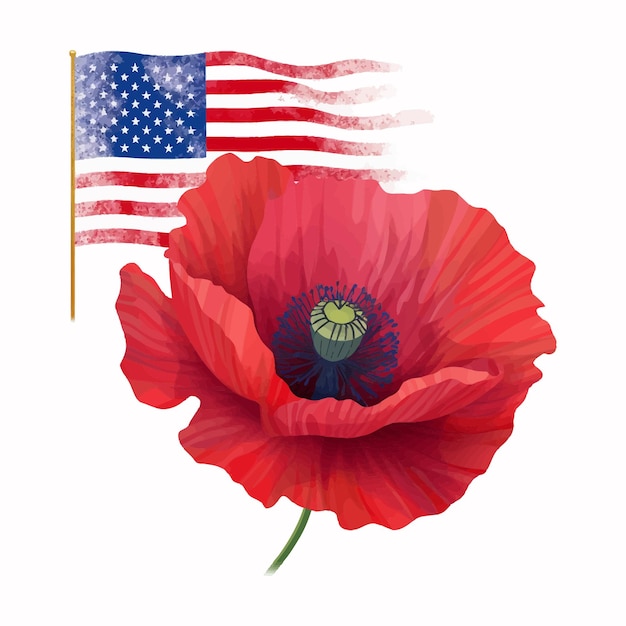 Vecteur belle illustration aquarelle fleur de pavot et drapeau américain