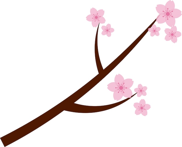 Vecteur belle illustration de fleur de cerisier sakura rose
