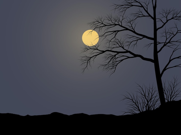 Vecteur belle illustration de nuit avec arbre au clair de lune
