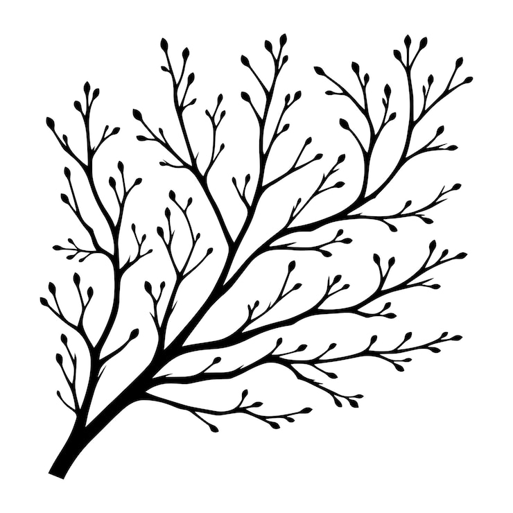 Vecteur belle illustration vectorielle de la silhouette d'une branche d'arbre isolée sur un fond blanc