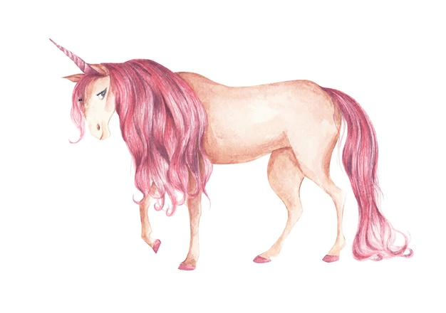 Belle Licorne Avec Une Coiffure De Couleur Rose