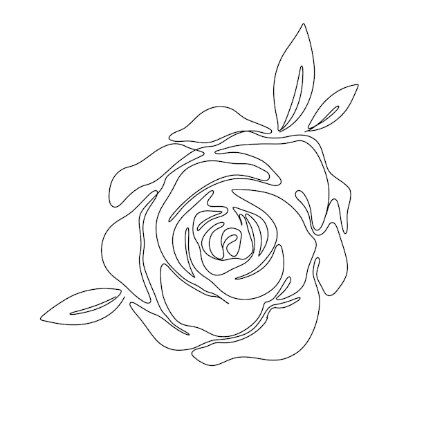 Belle Ligne Art Rose Illustration Fleur Abstraite