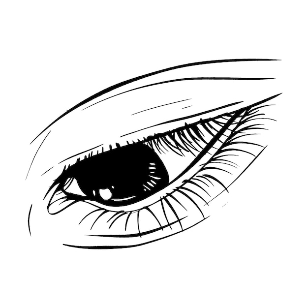 Belle Main Croquis Dessiné Oeil Vector Illustration Dessin Au Trait