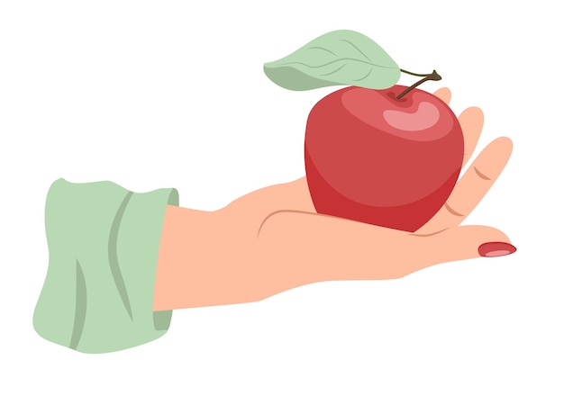 Vecteur belle main féminine tenant une pomme rouge sur la paume ouverte isolée sur fond blanc