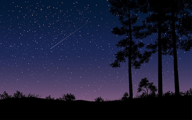 Belle nuit dans la pinède avec lune et ciel plein d'étoiles